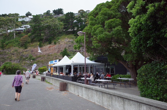 ニュージーランド旅行5日目 その3～sumner beach サムナービーチを歩く_a0287336_1652026.jpg