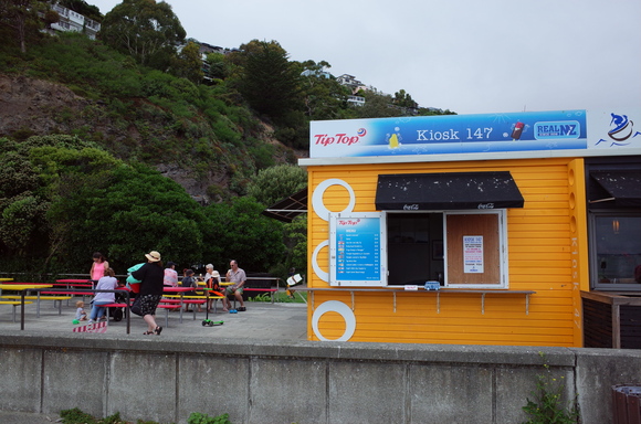 ニュージーランド旅行5日目 その3～sumner beach サムナービーチを歩く_a0287336_1652332.jpg