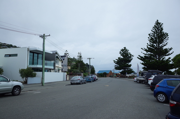 ニュージーランド旅行5日目 その3～sumner beach サムナービーチを歩く_a0287336_1661218.jpg