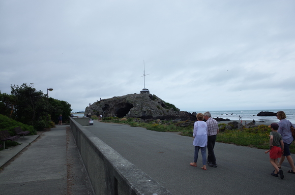 ニュージーランド旅行5日目 その3～sumner beach サムナービーチを歩く_a0287336_1662565.jpg