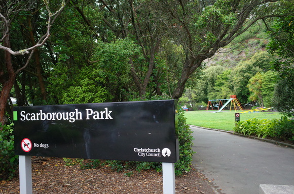 ニュージーランド旅行5日目 その3～sumner beach サムナービーチを歩く_a0287336_1701099.jpg