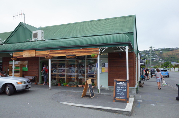 ニュージーランド旅行5日目 その3～sumner beach サムナービーチを歩く_a0287336_1785861.jpg