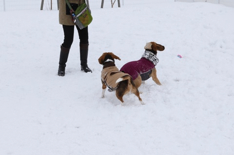 b0031538_22320467.gif