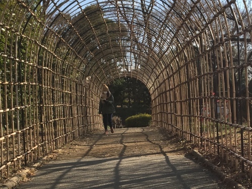 b0330040_11441620.jpeg