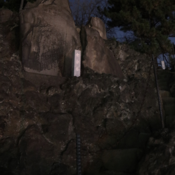 アーバンアルピニストとして、富士山登頂に成功!ただし、東京・品川の_c0060143_19113508.jpg
