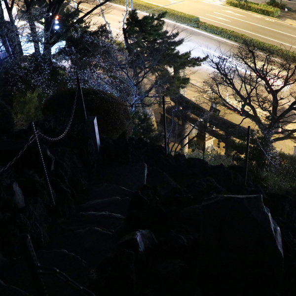 アーバンアルピニストとして、富士山登頂に成功!ただし、東京・品川の_c0060143_19113729.jpg