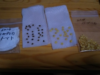c0330749_20455873.jpg