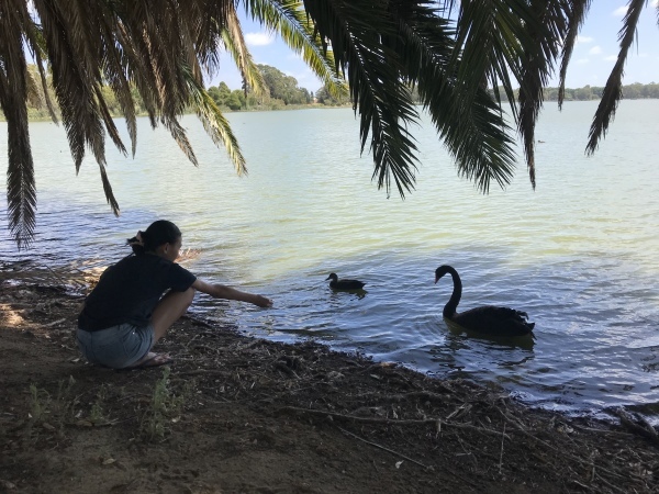 f0304452_16072951.jpeg