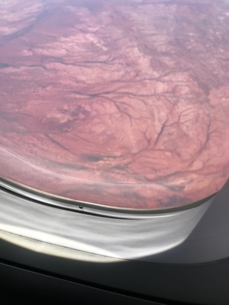 f0304452_16353645.jpeg