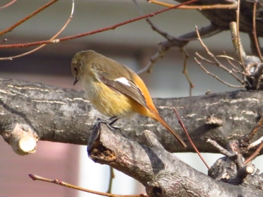 a0018655_14011250.jpg