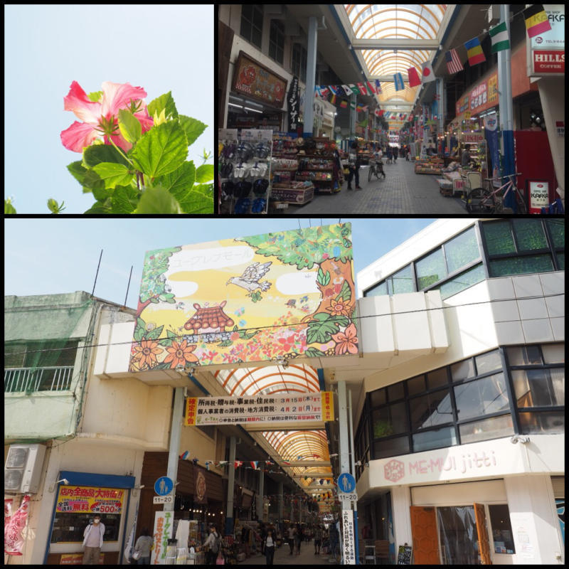 【旅日記】石垣島巡り_b0008655_16100384.jpg