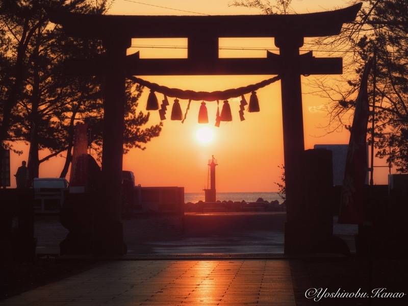 久礼八幡宮のだるま朝日_b0222467_11344219.jpg