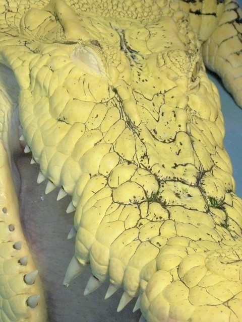 c0105569_02003503.jpg