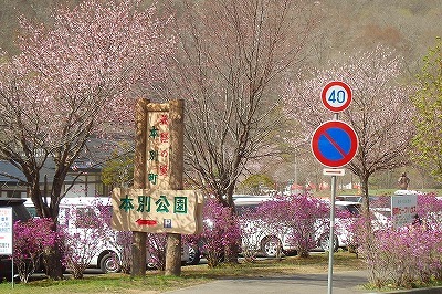 b0171771_21462263.jpg