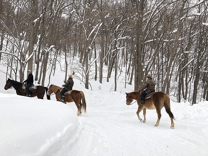 雪の中で乗馬体験ができる!札幌南区の八剣山ワイルドムスタングス_e0171573_036328.jpg