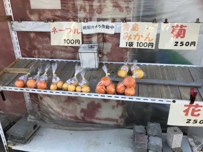 f0359673_16045917.jpeg