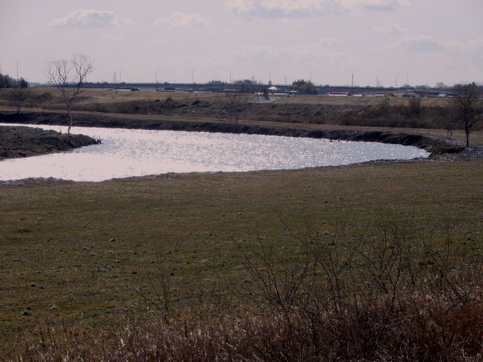 e0074782_20592854.jpg