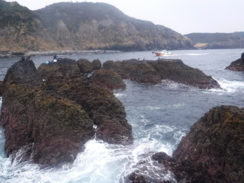d0174683_22083921.jpeg