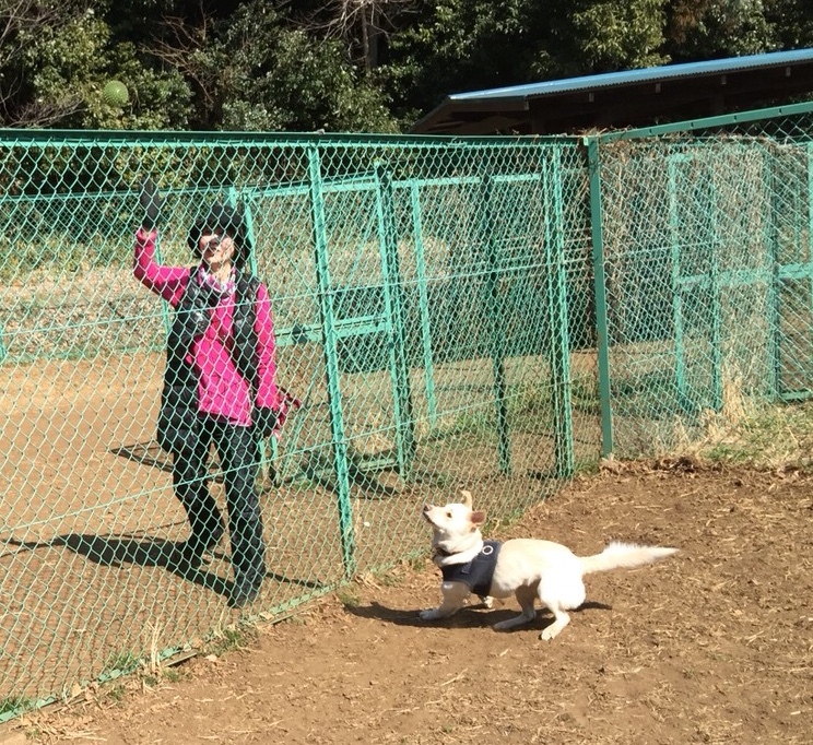 c0332184_11173560.jpeg