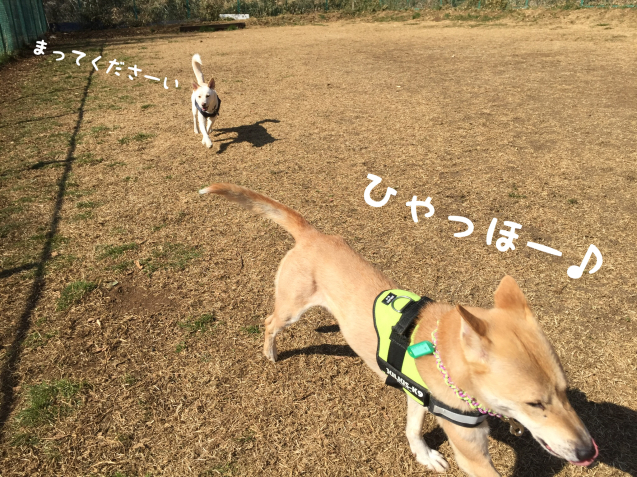 c0332184_11470503.jpeg