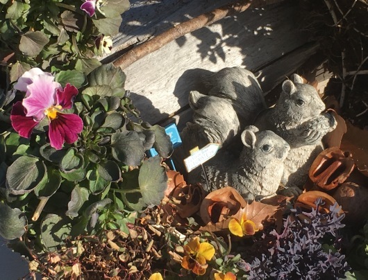 b0336787_22270215.jpeg