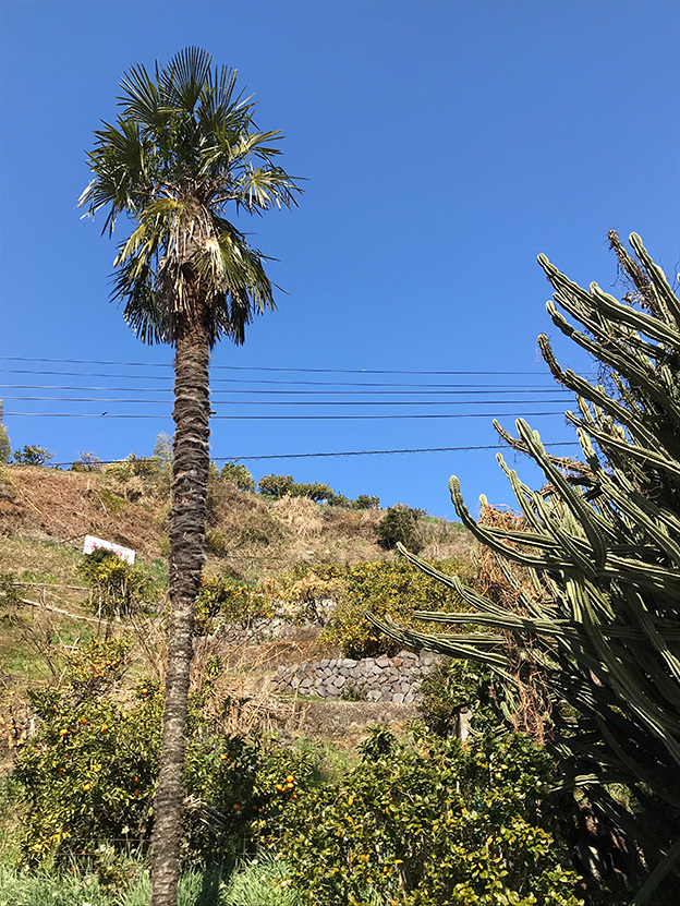e0000295_11303923.jpg