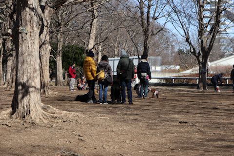 今日は駒沢公園をお散歩♪_c0090198_1814338.jpg