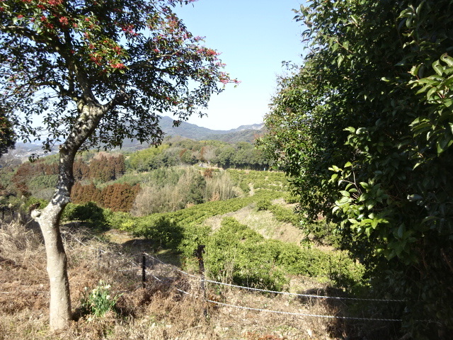 d0073901_09585090.jpg