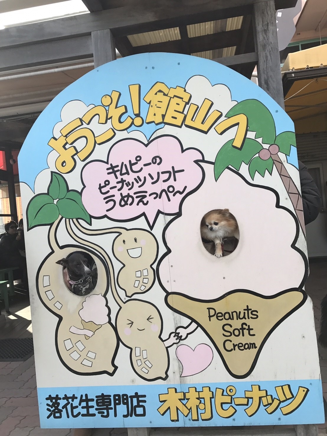 f0185804_16451455.jpeg