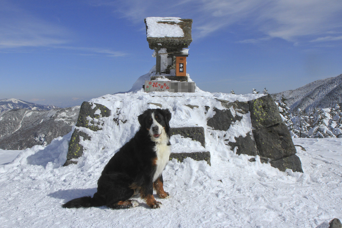 二日目〜雪山登山　目指せ！　頂上_f0137508_17313394.jpg