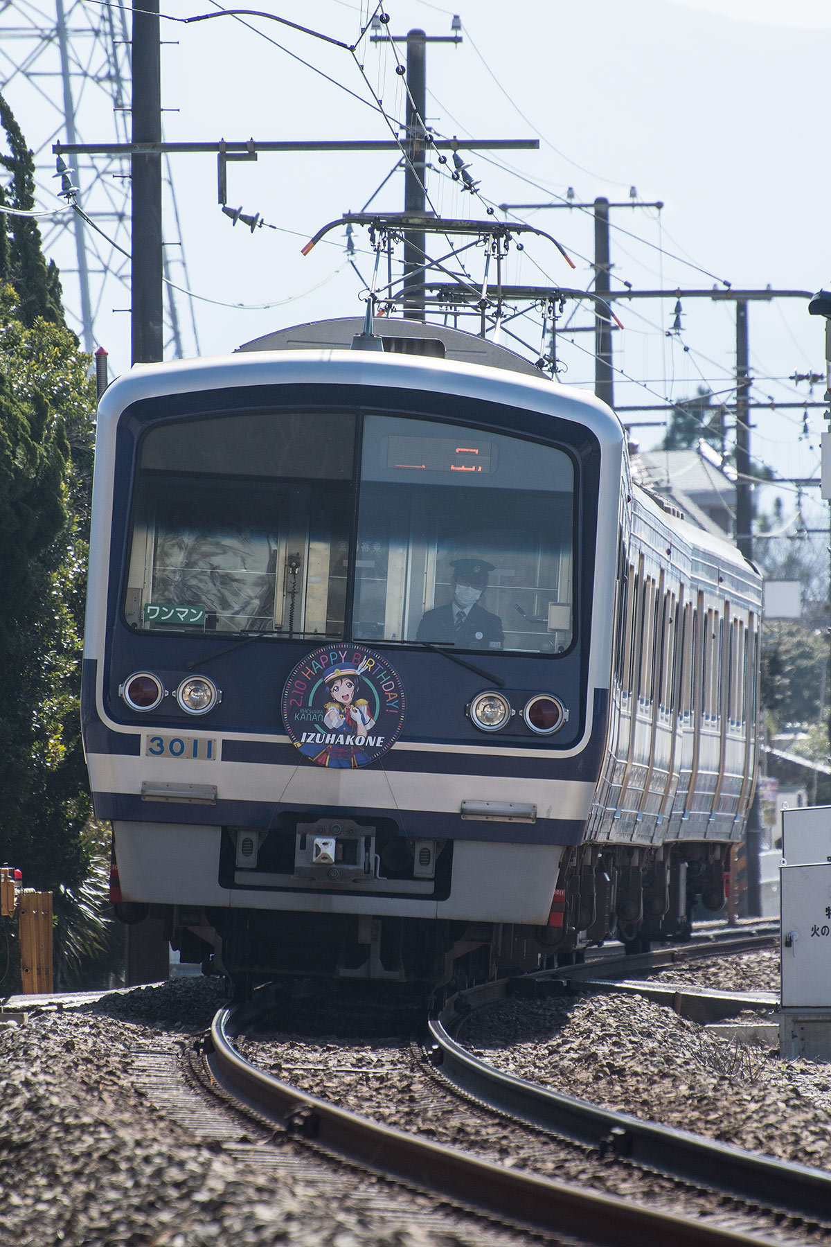 伊豆箱根鉄道 3000系 / 3506F - HAPPY PARTY TRAIN「松浦果南
