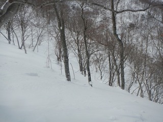 c0359615_22491577.jpg