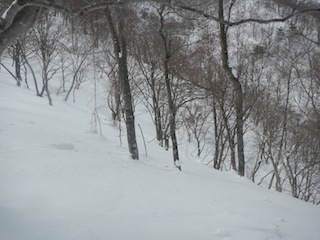 降雪後の湧谷にはずれなし！_c0359615_22491577.jpg