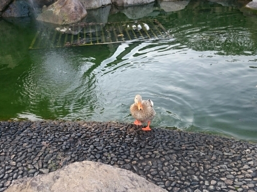 c0213817_05180578.jpg