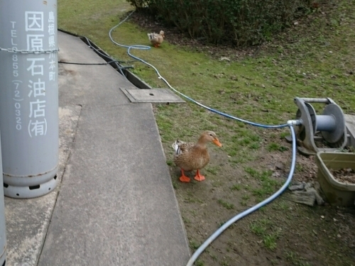 c0213817_05181755.jpg
