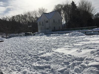 c0114121_2257584.jpg