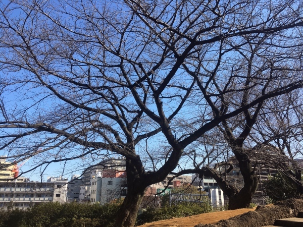 b0026822_00522599.jpg