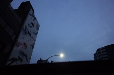 f0132230_00005299.jpg
