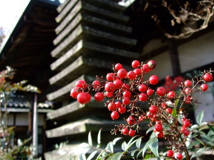 山あり谷あり_f0343531_08551370.jpeg