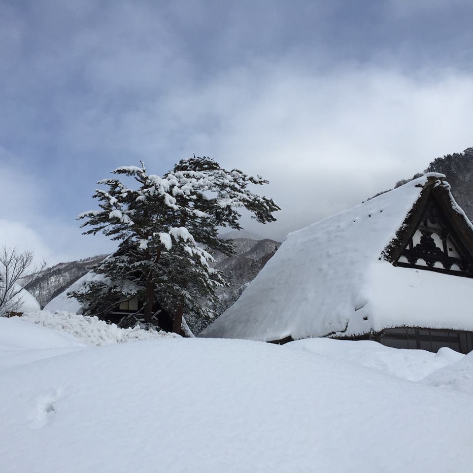 白川郷@ 山スキー！_a0119132_07115609.jpg