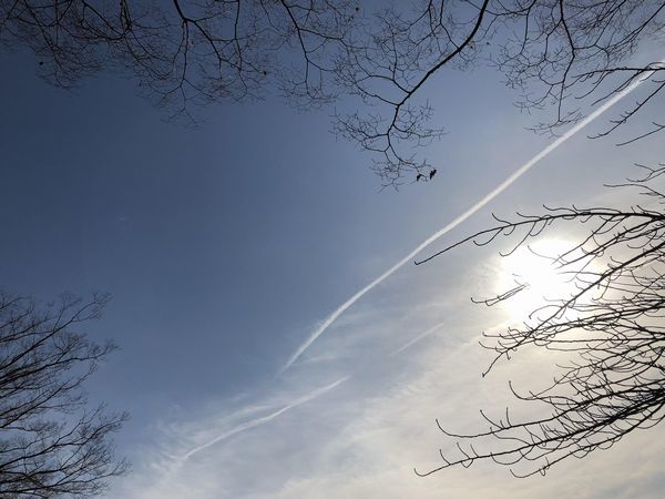 a0354432_22051834.jpg