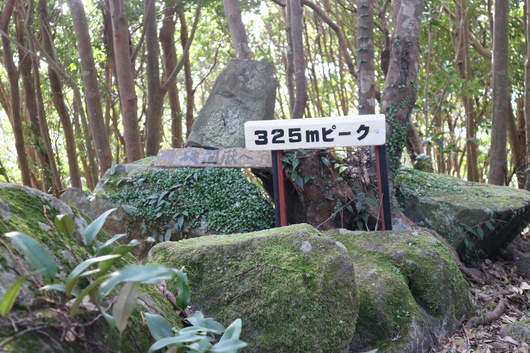 e0272335_20133815.jpg