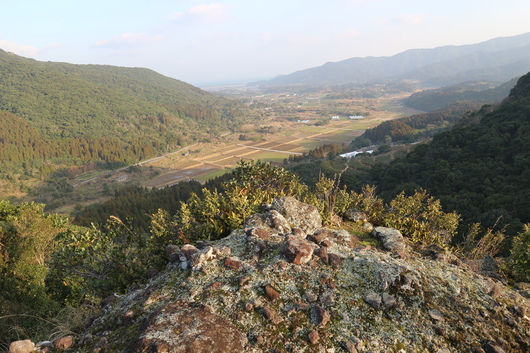 e0272335_203336.jpg