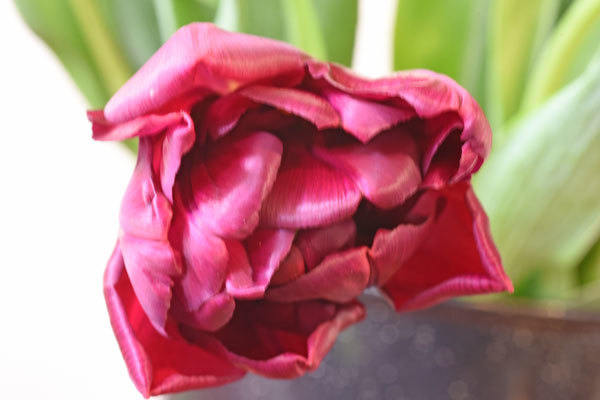 c0346840_16523421.jpg