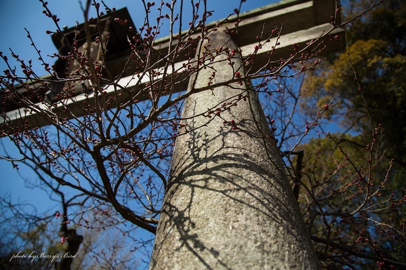 e0173743_18103635.jpg