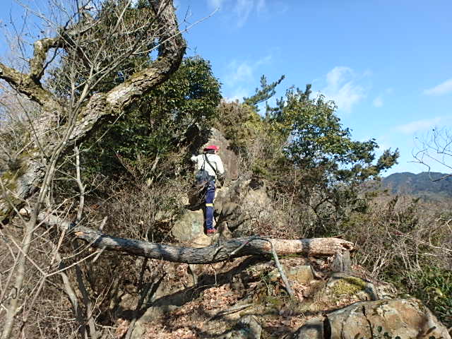 f0334143_12204521.jpg