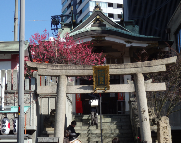 梅田の天神社の梅_d0218056_19381349.jpg