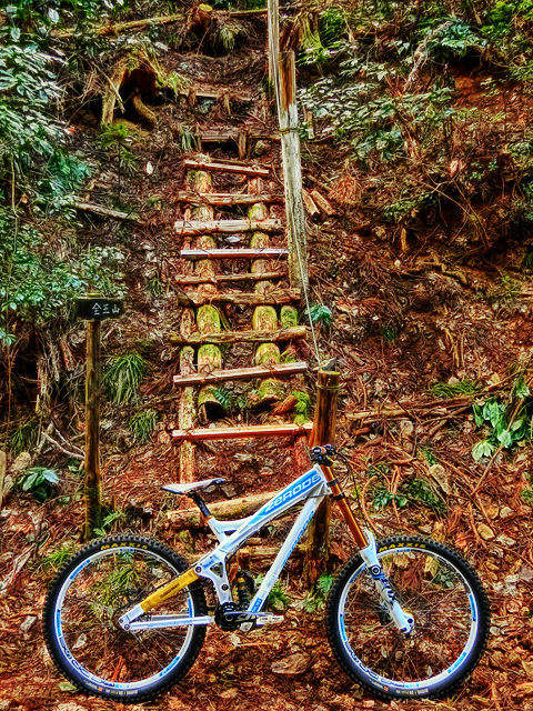 Stairway to Heaven III_b0049658_07492473.jpg