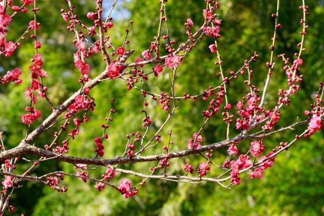 a0248459_07013600.jpg