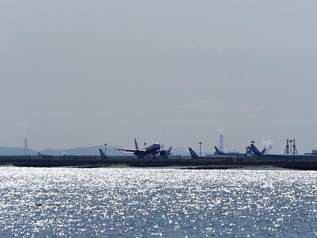 f0199866_22020199.jpg